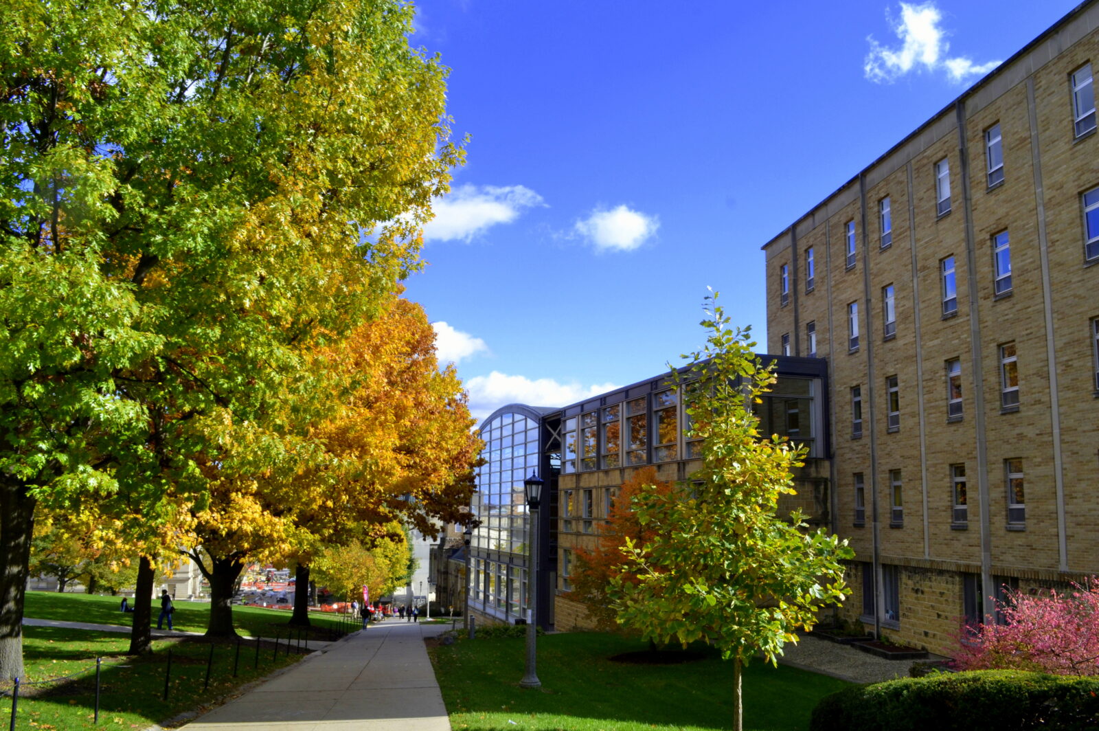 Exterior of the Law School Library in the fall.
